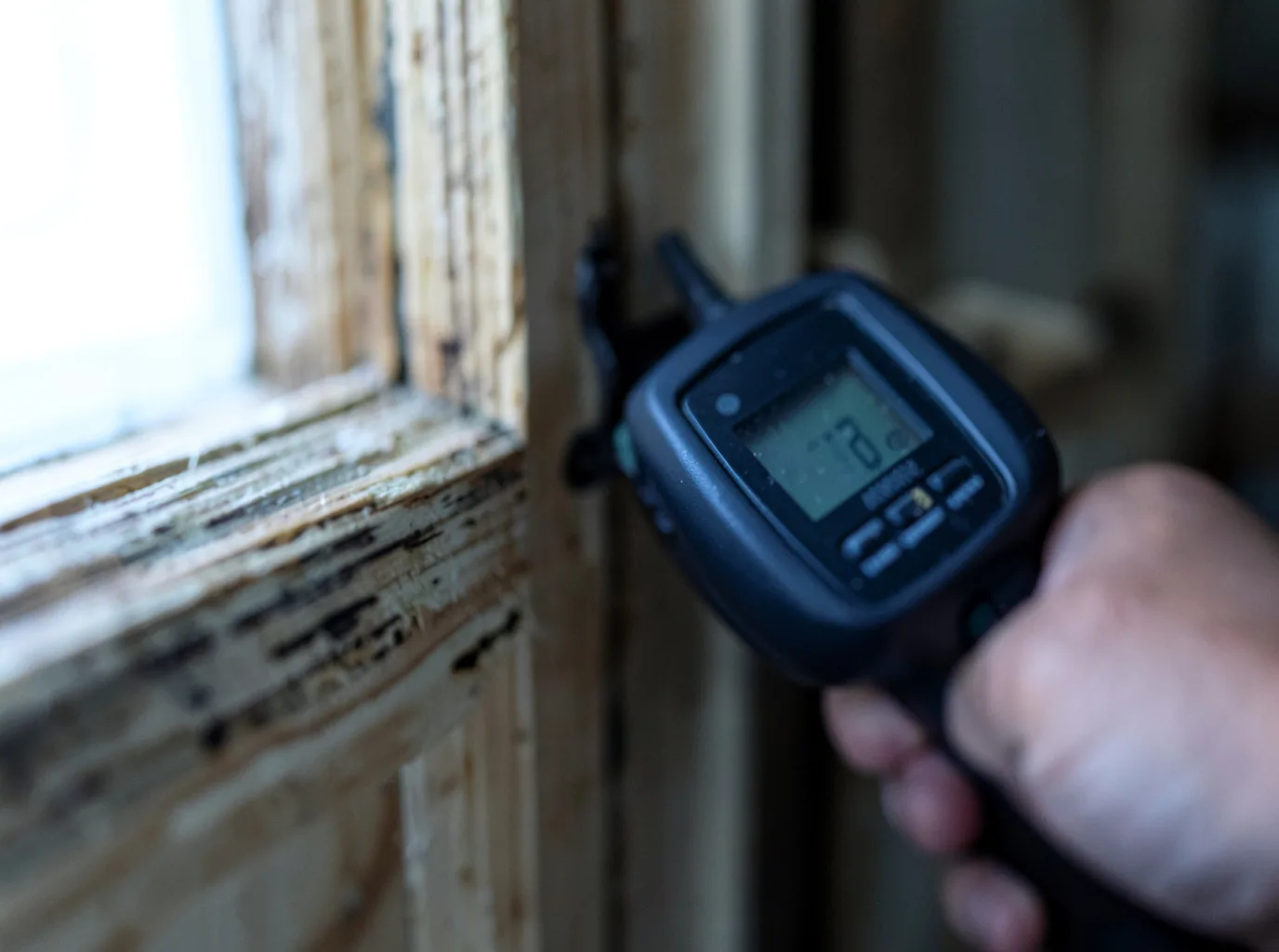 Moisture Inspection And Documentation in Weaver, AL